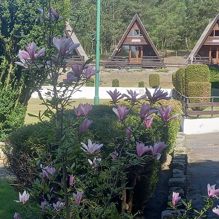 Letniskowe Kormoran Lodge *