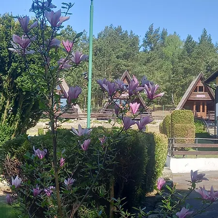 Lodge Letniskowe Kormoran *