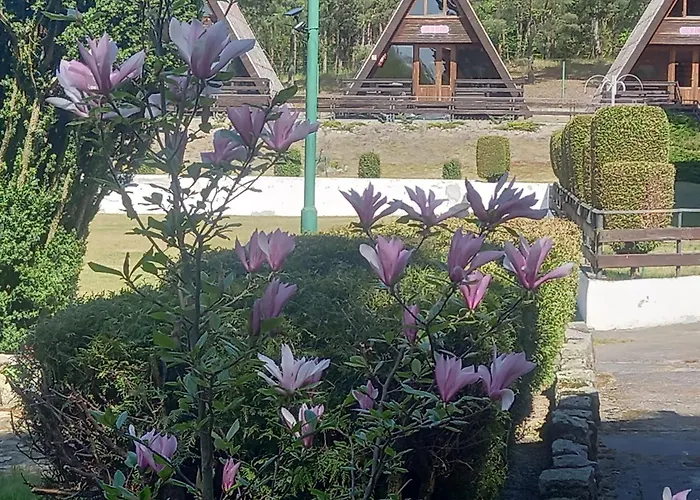 Letniskowe Kormoran Деревянный коттедж *