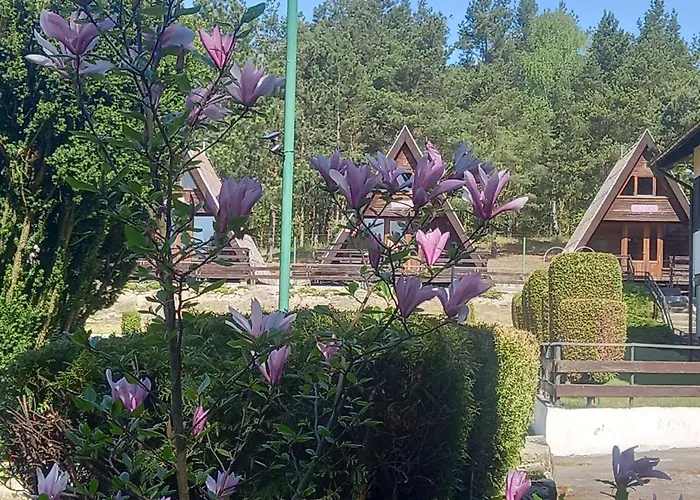 Деревянный коттедж Letniskowe Kormoran *